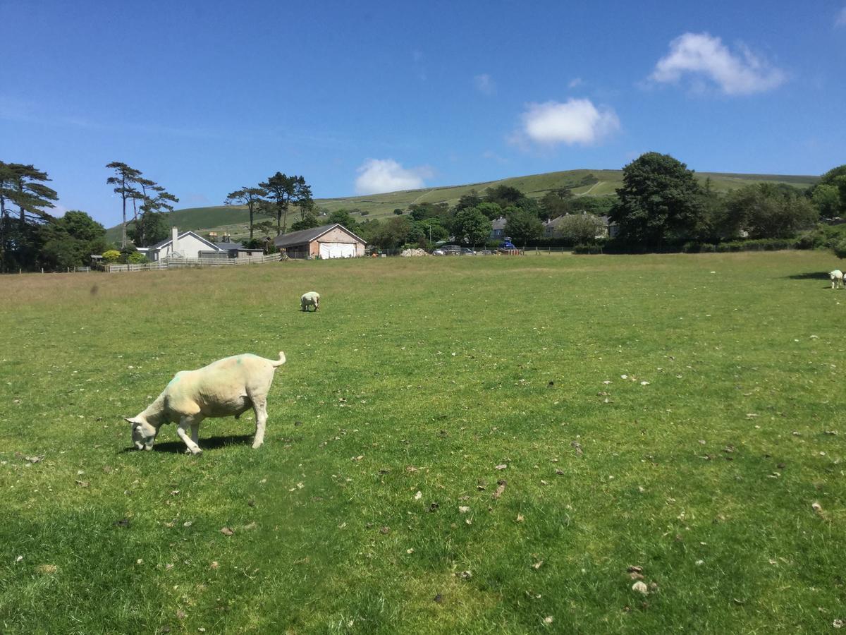 Plas Y Nant Llwyngwril ภายนอก รูปภาพ